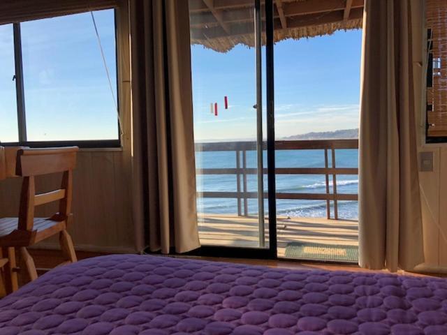 Pinguino En La Roca - Lodge Βίνα Ντελ Μαρ Εξωτερικό φωτογραφία