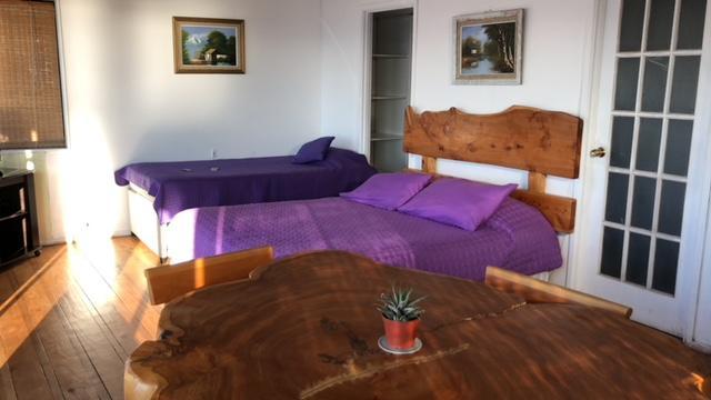 Pinguino En La Roca - Lodge Βίνα Ντελ Μαρ Εξωτερικό φωτογραφία