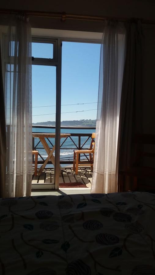 Pinguino En La Roca - Lodge Βίνα Ντελ Μαρ Εξωτερικό φωτογραφία